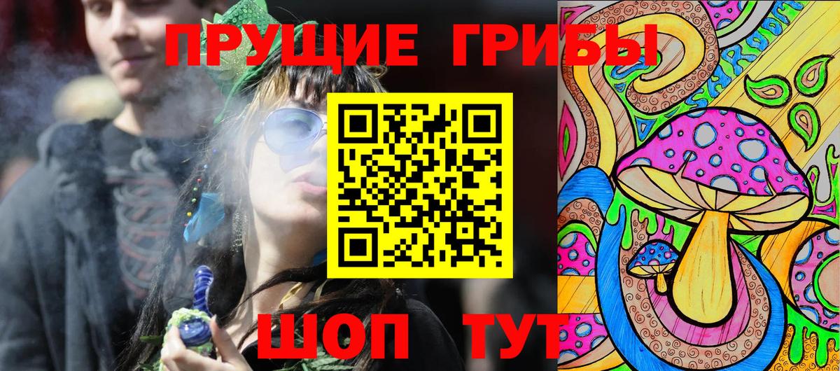 Псилоцибиновые грибы Psilocybe Белогорск